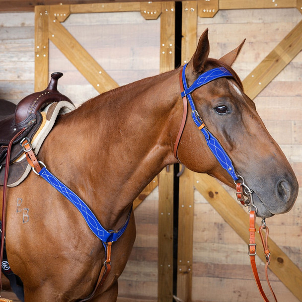 product variation CIRCLE Y Marfa Lights Suede Royal Blue Breast Collar (1070-20-AK) image