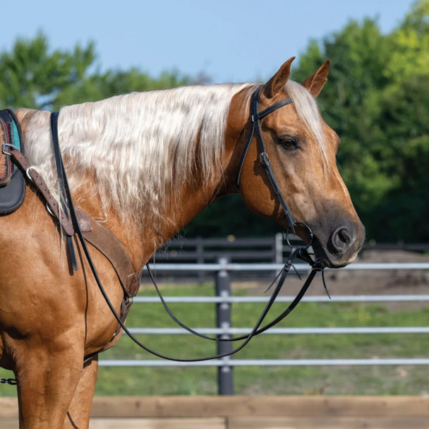 product variation CIRCLE Y Classic 5/8in x 7 1/2ft Black Split Reins (4752-5818) image