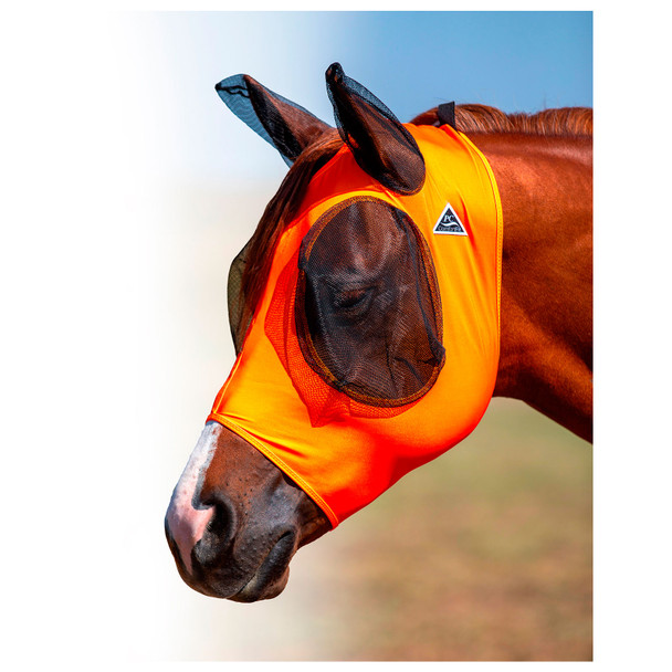 product variation Orange image