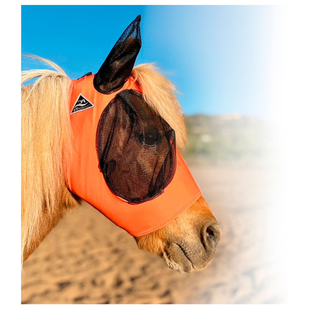 product variation Orange image