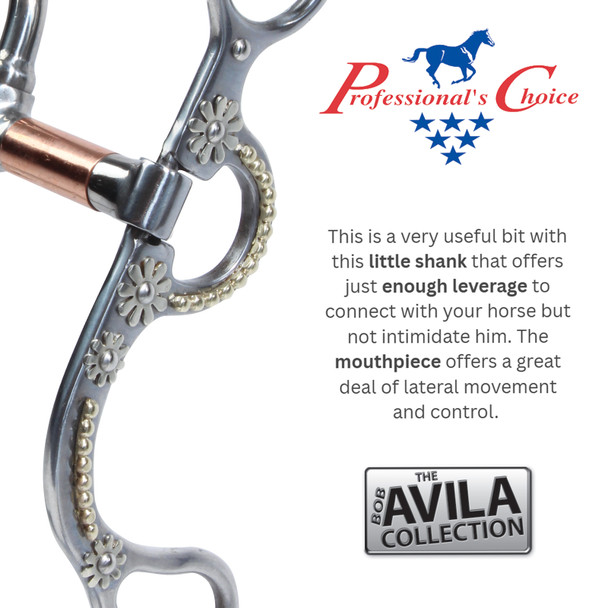 product variation PROFESSIONAL'S CHOICE Bob Avila Daisy Correction Bit (AVB-233) image