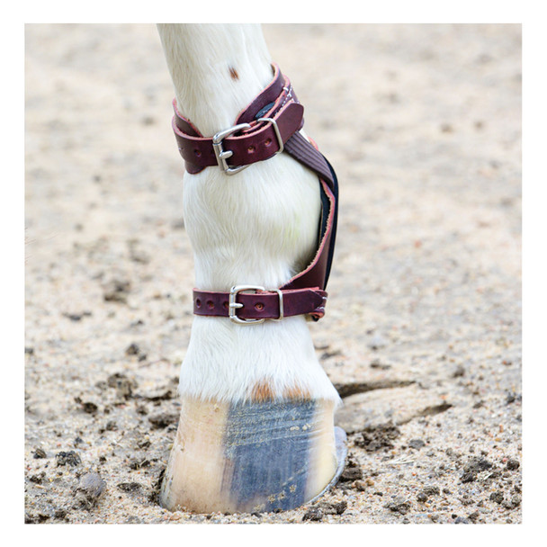 product variation PROFESSIONAL'S CHOICE Leather Skid Boot (LSB) image