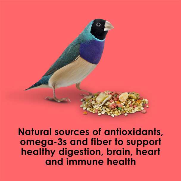 product variation KAYTEE Fiesta Canary and Finch Food (100036925) image