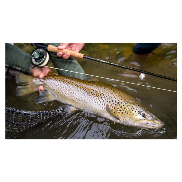 product variation 8ft 6in 4wt 4pc image