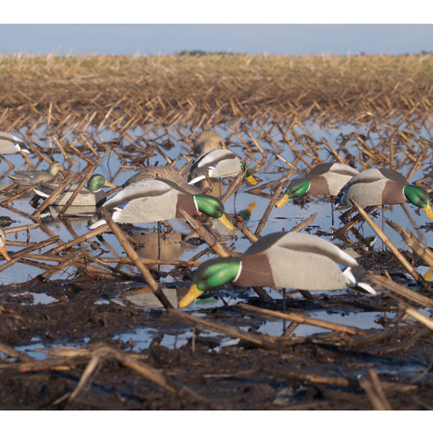 product variation AVERY GHG Hunter Series Over Size Mallard Shell Decoys (70167) image