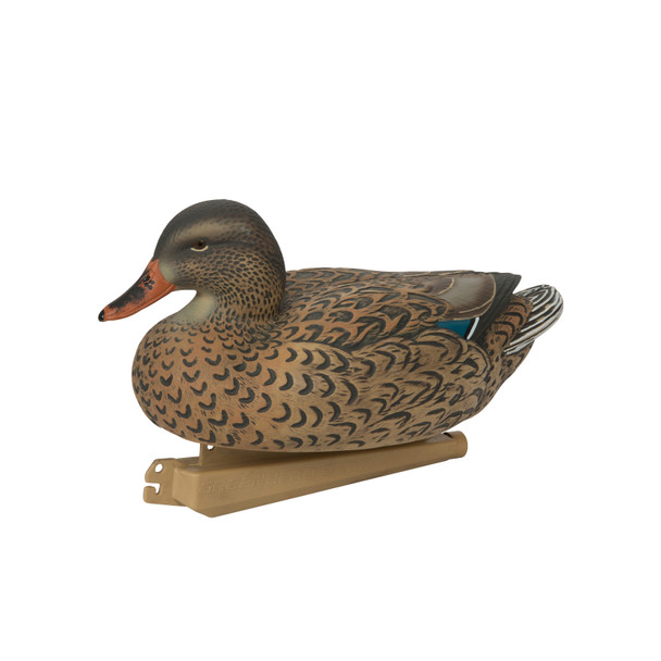 product variation AVERY Essential Series Mallards, 12-Pack (70010) image
