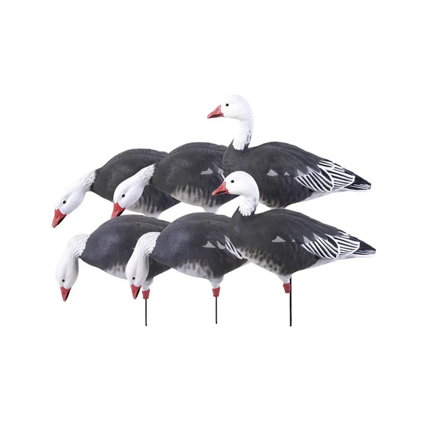 product variation AVERY 6-Pack Pro-Grade Full Body Blue Goose Harvester Decoys (71202) image