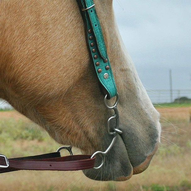 product variation CLASSIC EQUINE Carol Goostree Delight Shank Gag Barrel Bit with Thick Bar Chain (GTDBIT31) image
