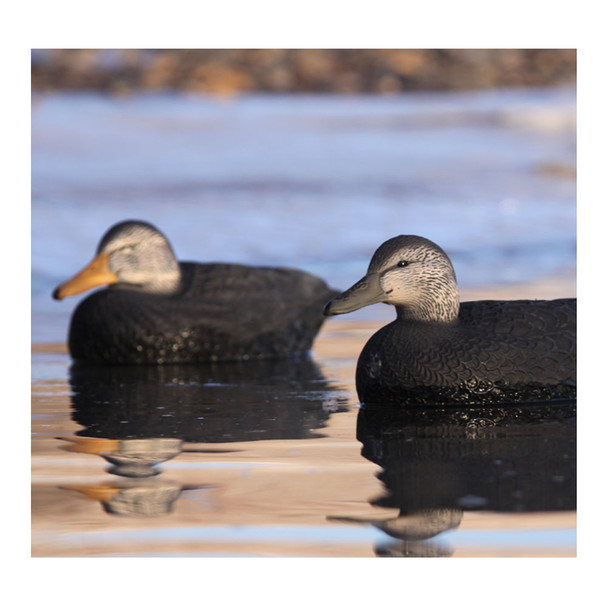 product variation AVERY GHG Hunter Series Over Size Black Duck Decoys (73015) image