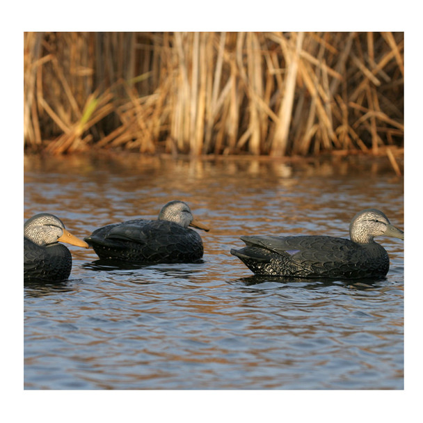 product variation AVERY GHG Hunter Series Over Size Black Duck Decoys (73015) image