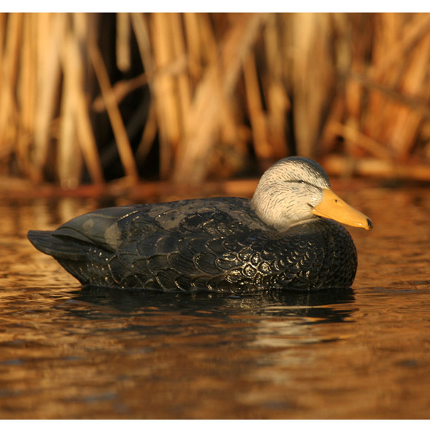 product variation AVERY GHG Hunter Series Over Size Black Duck Decoys (73015) image