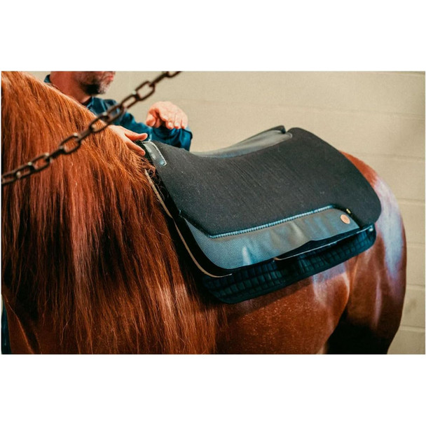 product variation BACK ON TRACK Western Black Saddle Pad (21330000) image