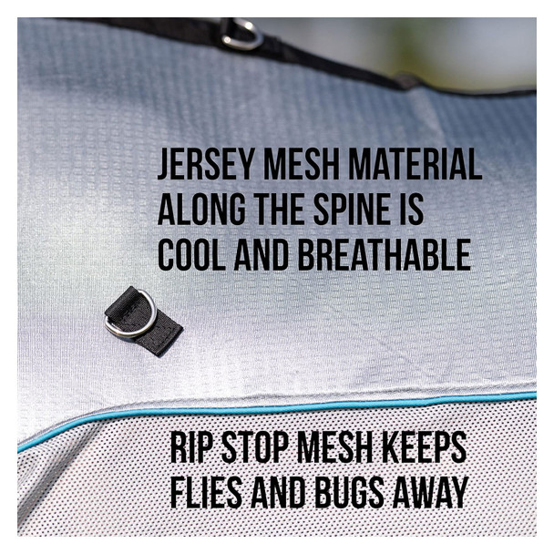 product variation Charcoal/Pacific Blue image