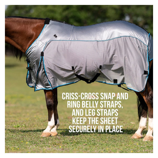 product variation Charcoal/Pacific Blue image