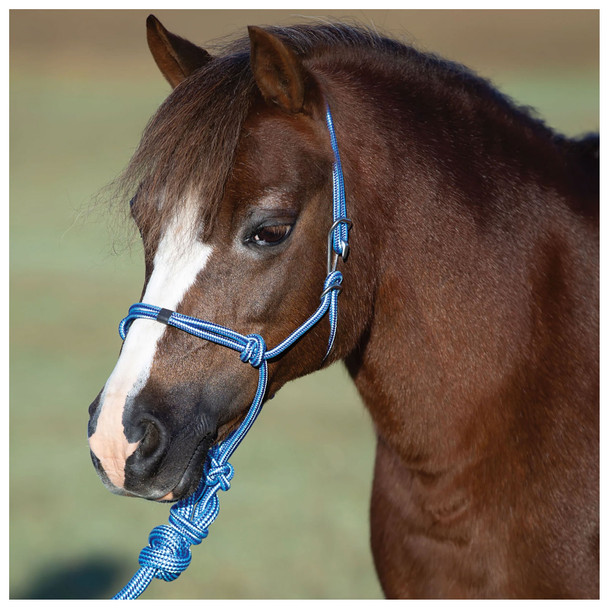 product variation Turquoise image