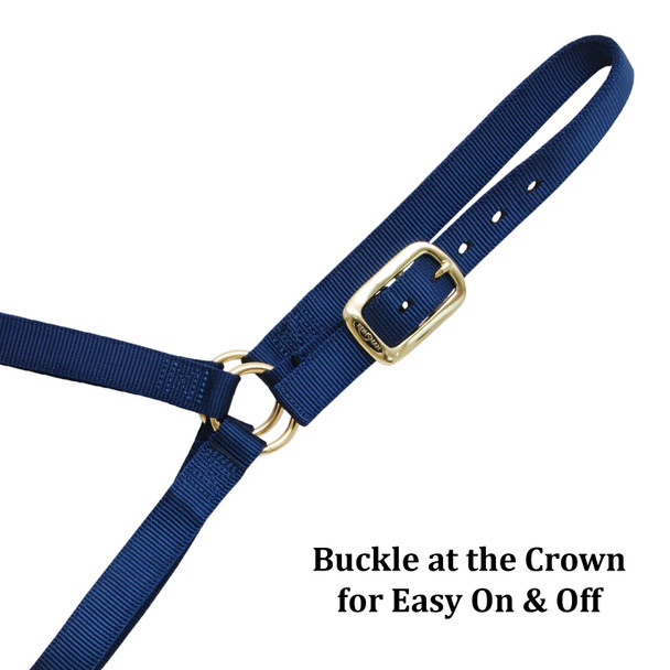 product variation CIRCLE Y REINSMAN Classic Navy Nylon Halter, Large Horse (9709-LG-NY) image