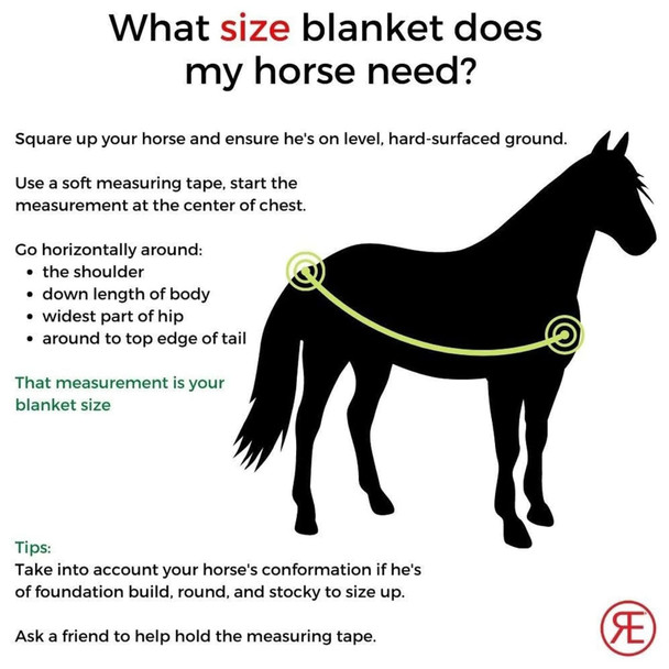 product variation CIRCLE Y Reinsman Premium Rain Horse Sheet (H103-72-WB) image