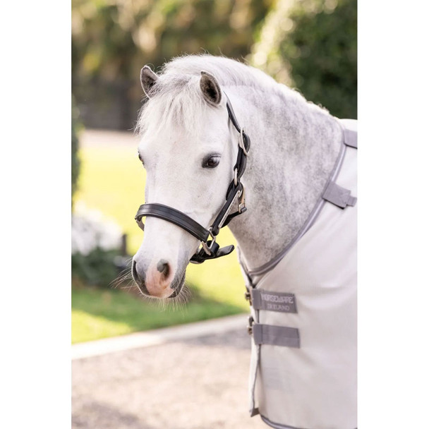 product variation HORSEWARE IRELAND Amigo Bug Rug Pony Silver/Titanium Grey/Silver Fly Sheet (AFRMGQ-IJI0) image