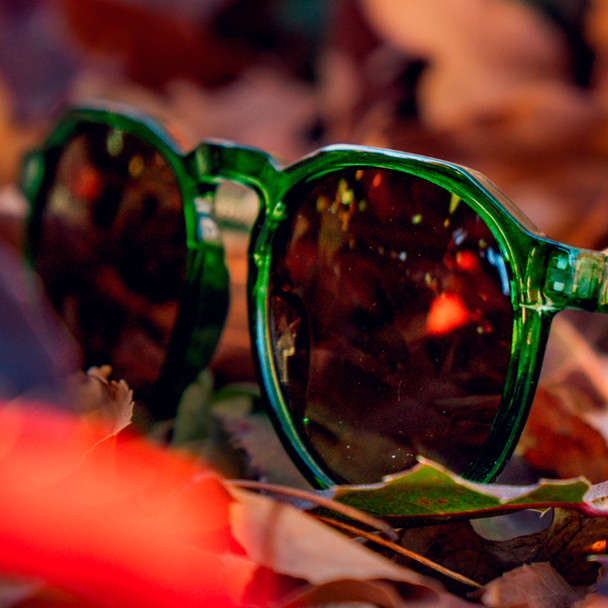 product variation OPTIC NERVE Unisex RiNO Shiny Crystal Green Frame with Polarized Brown Lens Sunglasses (22772) image