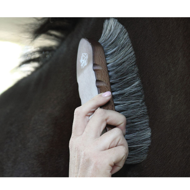 product variation PROFESSIONAL'S CHOICE Tail Tamer Wood Series Large Horsehair Brush (W210) image