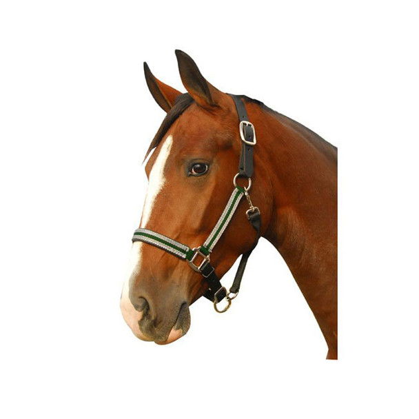 product variation Hunter Green, Silver image