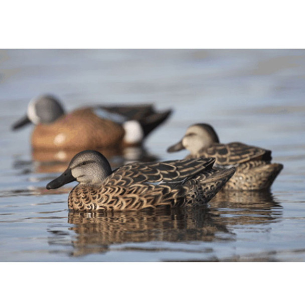 product variation AVERY Pro-Grade Blue-Winged Teal Early Season Hen Decoys, 6-Pack (73126) image