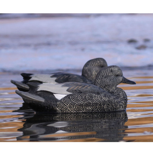 product variation AVERY Life-Size Gadwall Decoys, 6-Pack (73045) image