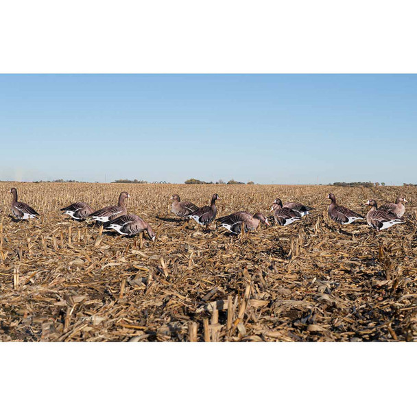 product variation AVERY FFD Elite Specklebelly Silhouette Decoys (77018) image