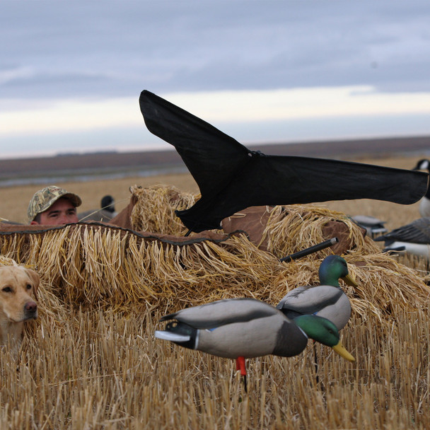 product variation Canada image