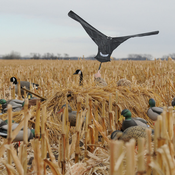 product variation Canada image