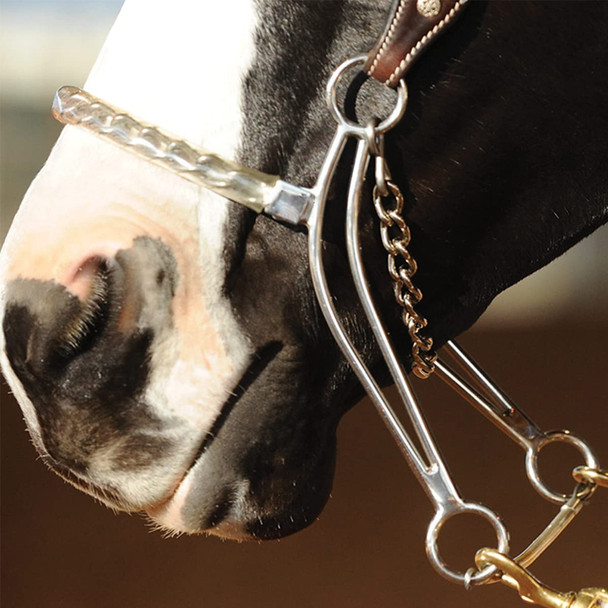 product variation Open Box (Great condition, limited use): CLASSIC EQUINE Carol Goostree Hackamore with Covered Chain Nosepiece (GTHACK) image