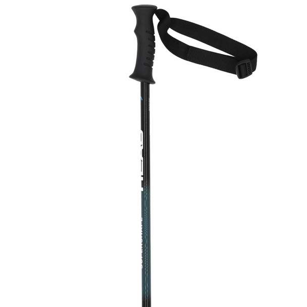 product variation HEAD Junior Supershape Team White/Black/Speed Blue Ski Poles (381966) image