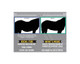 44270 Reinsman Swayback Relief Pad - Contour carré - Noir NEUF 44270 Reinsman Swayback Relief Pad - Contour carré - Noir NEUF