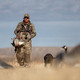 Drake MST Endurance Soft Shell Hoodie - Shadowgrass Camo, 3XLarge Hunting Hoodie