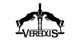 Veredus