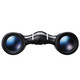 product variation NIKON Aculon T02 10x21 Black Binoculars (16735) image
