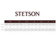product variation STETSON 42nd Street Natural Hat (TS42ND-401781) image