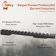 product variation TALLEY Bergara Premier Picatinny Short Action 20 MOA Base (PSM258700) image