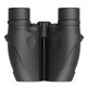 LEUPOLD BX-1 Rogue 10x25mm Compact Black Binocular (59225)