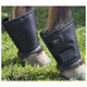 INTREPID INTERNATIONAL Fetlock Shields (CHFS)