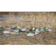 AVERY 12 Pack of Pro-Grade Mallard With Flocked Heads Harvester Decoys (73120)