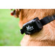 product variation DT SYSTEMS H2O 1820 Plus 1 Mile Remote Beeper Trainer (H2O1820P) image