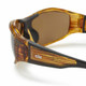 GILL Race Vision 1.5 Amber/Woodgrain Bi-Focal Sunglasses (RS28W1)