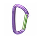 WILD COUNTRY Session Purple/Green 12cm Quickdraw (40-0000002002-12CM)