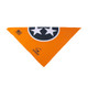 product variation TN Flag Orange & Grey image