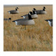AVERY Hot Buy Canada Goose Shell Decoys, 12-Pack (70005)