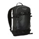 BACKCOUNTRY ACCESS Stash 20 Black Backpack (C2217002010)