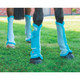 SHIRES Airflow Turnout Full Teal 4-Pack Fly Boots (1857TEALFULL)
