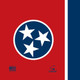 product variation TN Flag image
