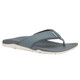 product variation Gray image